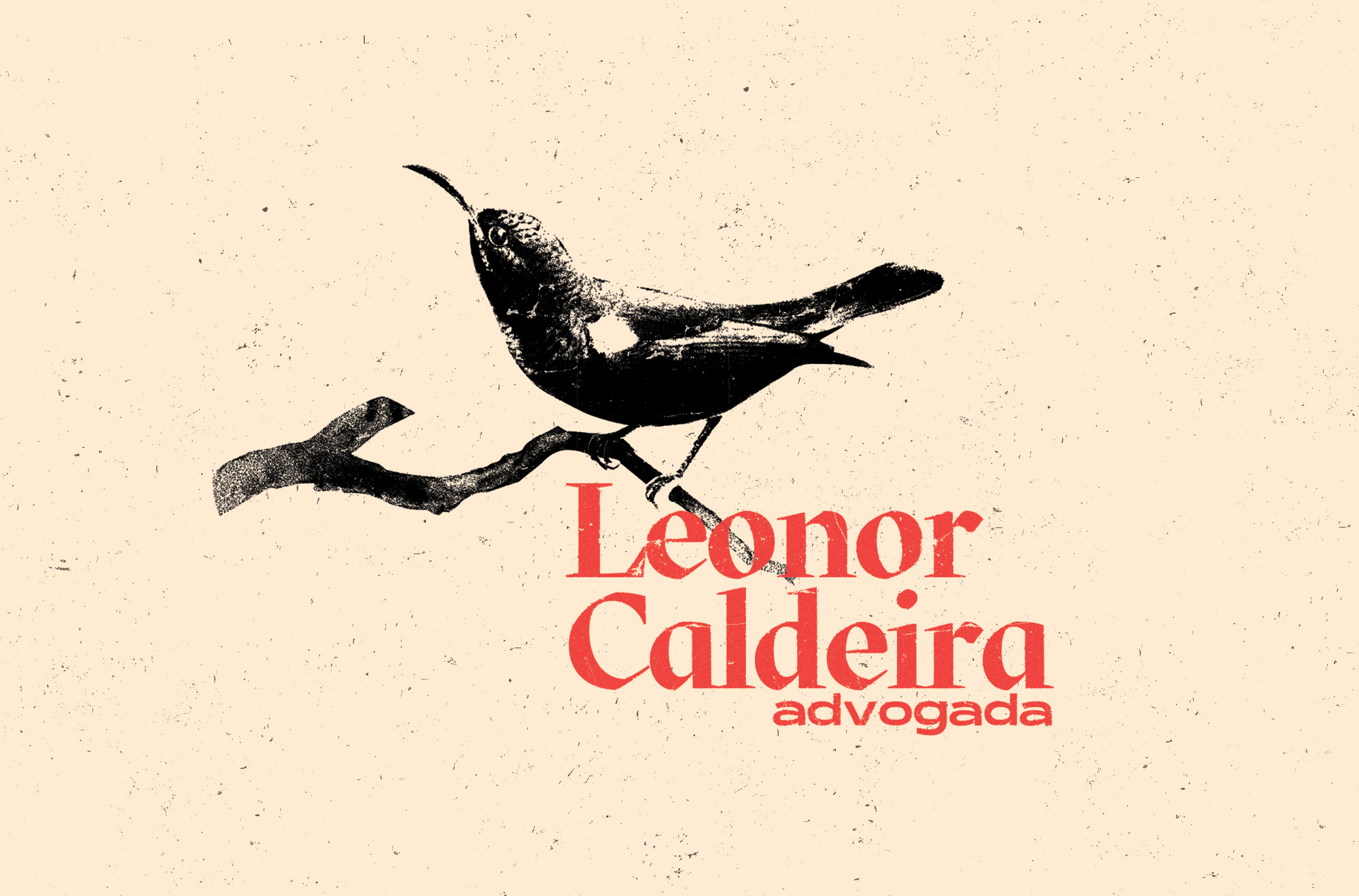 Logotipo da Leonor Caldeira. Para além de dizer Leonor Caldeira, tem um sun bird pousado num ramo, símbolo da resistência palestiniana.